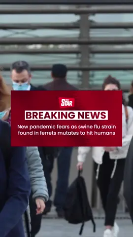 🚨⬆️BREAKING NEWS⬆️🚨