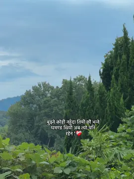 बुझ्ने कोही नहुँदा तिमी छौ भन्ने घमण्ड थियो अब त्यो पनि  रहेन !❤️‍🩹 #fyp #fypツ 