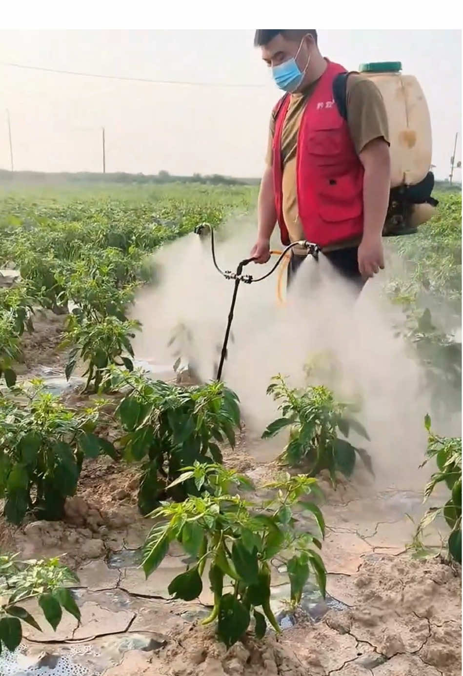 #Sprayer#ElectricSprayer#FarmSprayer#GardenSprayer#NewSprayer# 