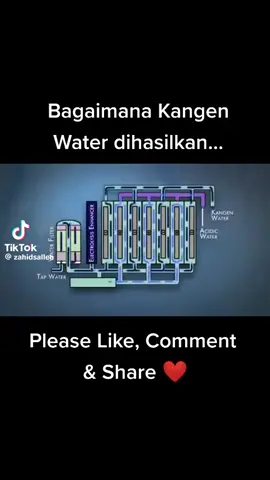 How is KANGEN Water Produce from the Leveluk Kangen Machine? Watch this … #fypシ゚viral #fyp #kangenwatermachine #kangenwater #foryoupageofficiall❤️❤️tiktok 