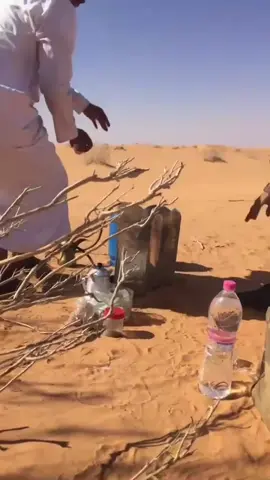 #مالي_خلق_احط_هاشتاقات🦦 