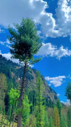 Kumrat valley right now 🫧✌️👍#majeedkumratvalley #foryou #kumrat_valley #1millionaudition #foryoupage 