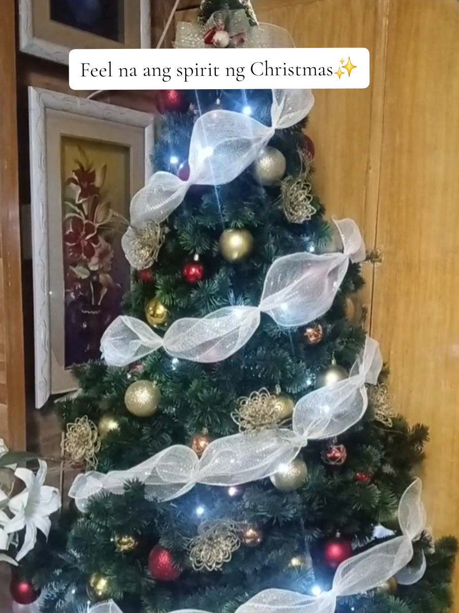 Christmas tree decorations✨️🎄 #christmastree #christmastreedecor #decorationideas  #decoration #christmastiktok #fyp 