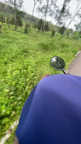 ดอกไม้ข้างทางที่เธอเก็บให้55 💖#แฟน #fyp 