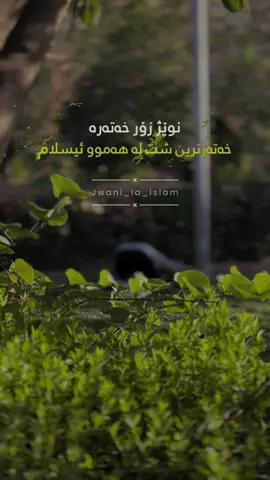 #نوێژبکە_هەتا_نوێژت_لەسەر_نەکرایە😔 #jwani_la_islam #جوانی_لە_ئیسلام #ئیسلام #قورئان_بەکوردی 