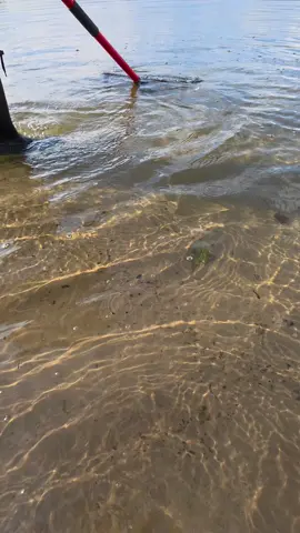 Чистка пляжа совком после сильного шторма 