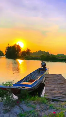 Hoàng Hôn Chiều 🌅@Món Ăn Quê #hoàng_hôn #đồng_quê_chill #bình_yên #quê #sôngnướcmiềntây 