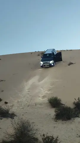 #بدو_سيناء_الرميلات #بدوانك_سعدهم_قايم #تويوتا #فورتشنر #شاص 