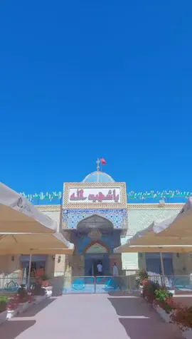 السلام على سلطان المراجع 