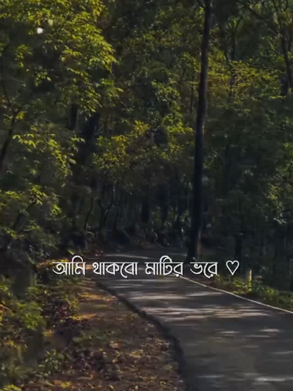 😊🕊️ #foryou #foryoupage #fyp #lyrics_songs #bd_lyrics_society 