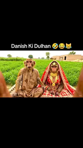 Danish Ki Dulhan 😹😂🤣 #funny #fyp #monkeyvlog #trend #viral 
