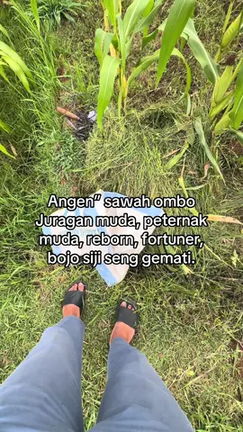 Ora muluk” gustiiii🫠