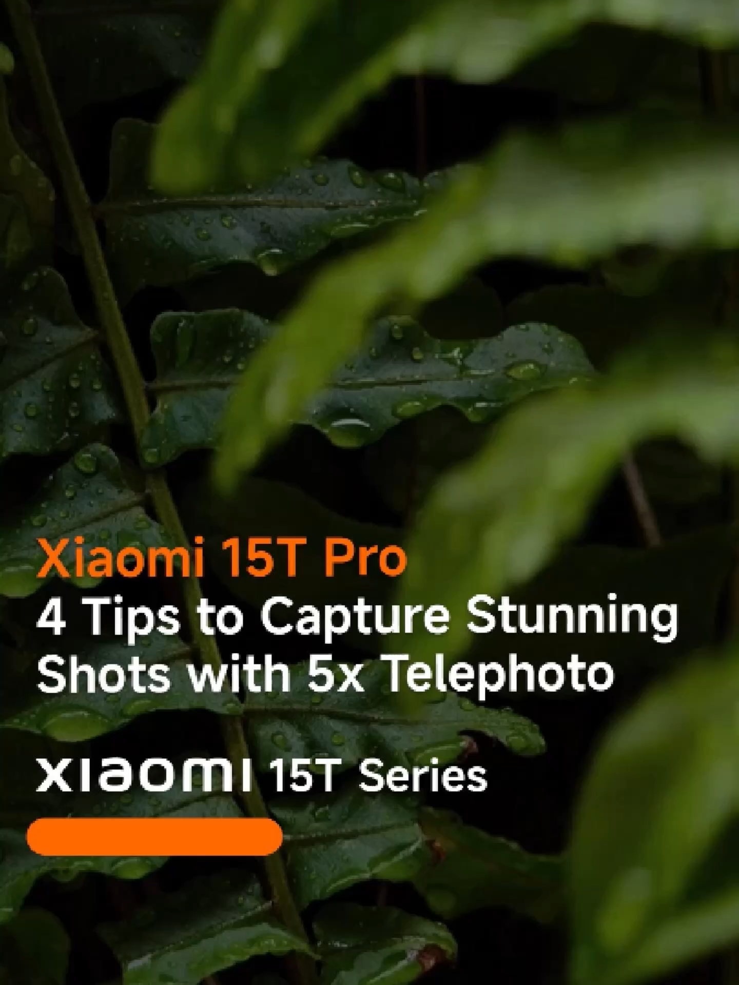 🟠📷🔴 Discover new perspectives with the #Xiaomi15TPro and its Leica professional lens. Blur backgrounds, zoom closer, and capture every detail with clarity that tells your story.  #XiaomiMalaysia