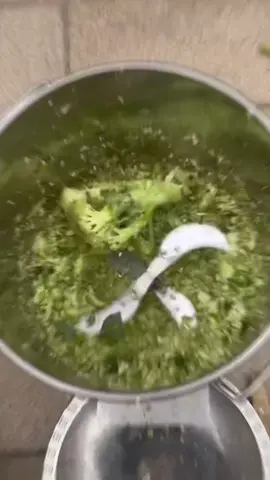 This vegetable shredder, whoever buys it likes it, it's still so cheap#grasstrimmer #vegetablechopper #farm #vegetablecutter 