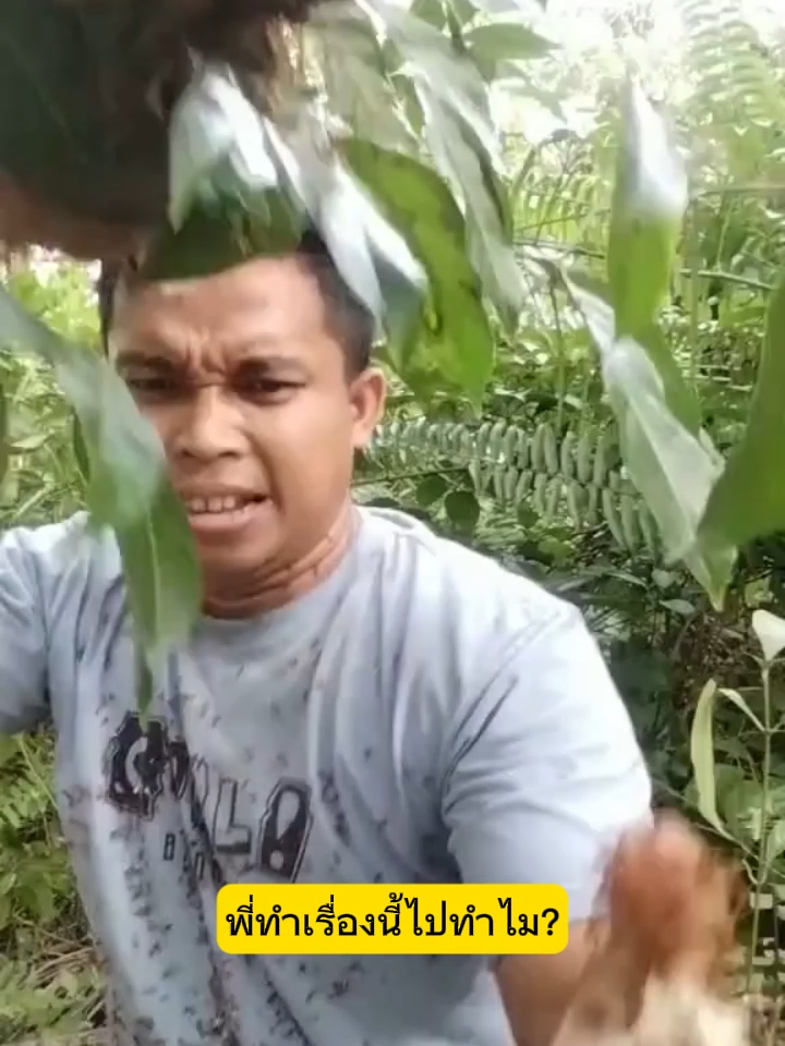 ดูจบแล้วมีคำเดียว… ทำไปเพื่ออะไรเนี่ยพี่!! 🤣 #คลิปฮาๆ #มดแดงไฟ #ไวรัลมาแรง #TikTokThailand #ขำไม่ไหว #คลิปตลก #เจ็บแต่ฮา #funnyvideo #คนจริง2025 #ฮาแรงมาก #คลิปไวรัล #ฮาจนท้องแข็ง #ไวรัลฮาๆ #คลิปขำขัน #พลังบวก #ขำกลิ้ง #ตลกไทยแลนด์ #คลิปแปลกๆ #ฮาไม่หยุด #ForYou