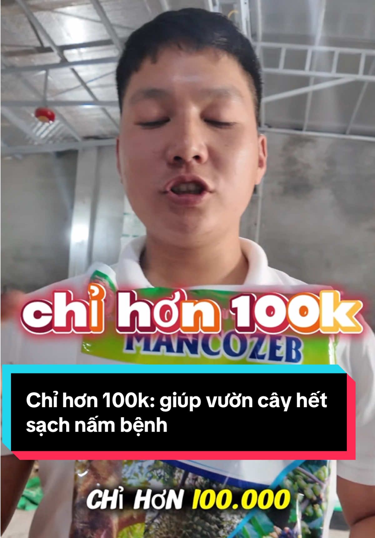 Hết sạch nấm bệnh chỉ sau 3 ngày nhờ phun MAN,COZEB xanh nhà Kinh Bắc 