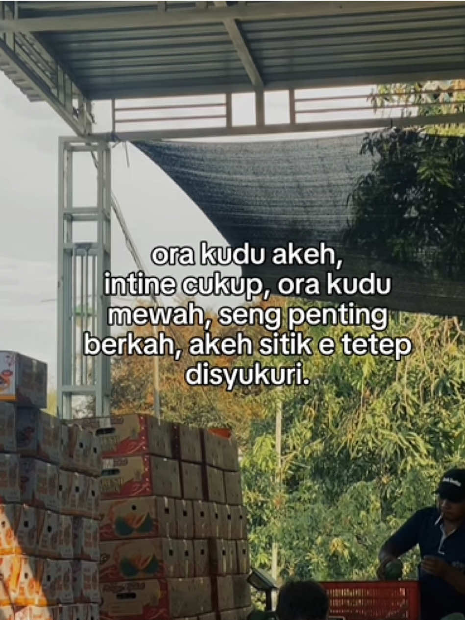 Neriman ing pandum 😊#manggaklonal21 #petani #buahbuahan #ekspor 