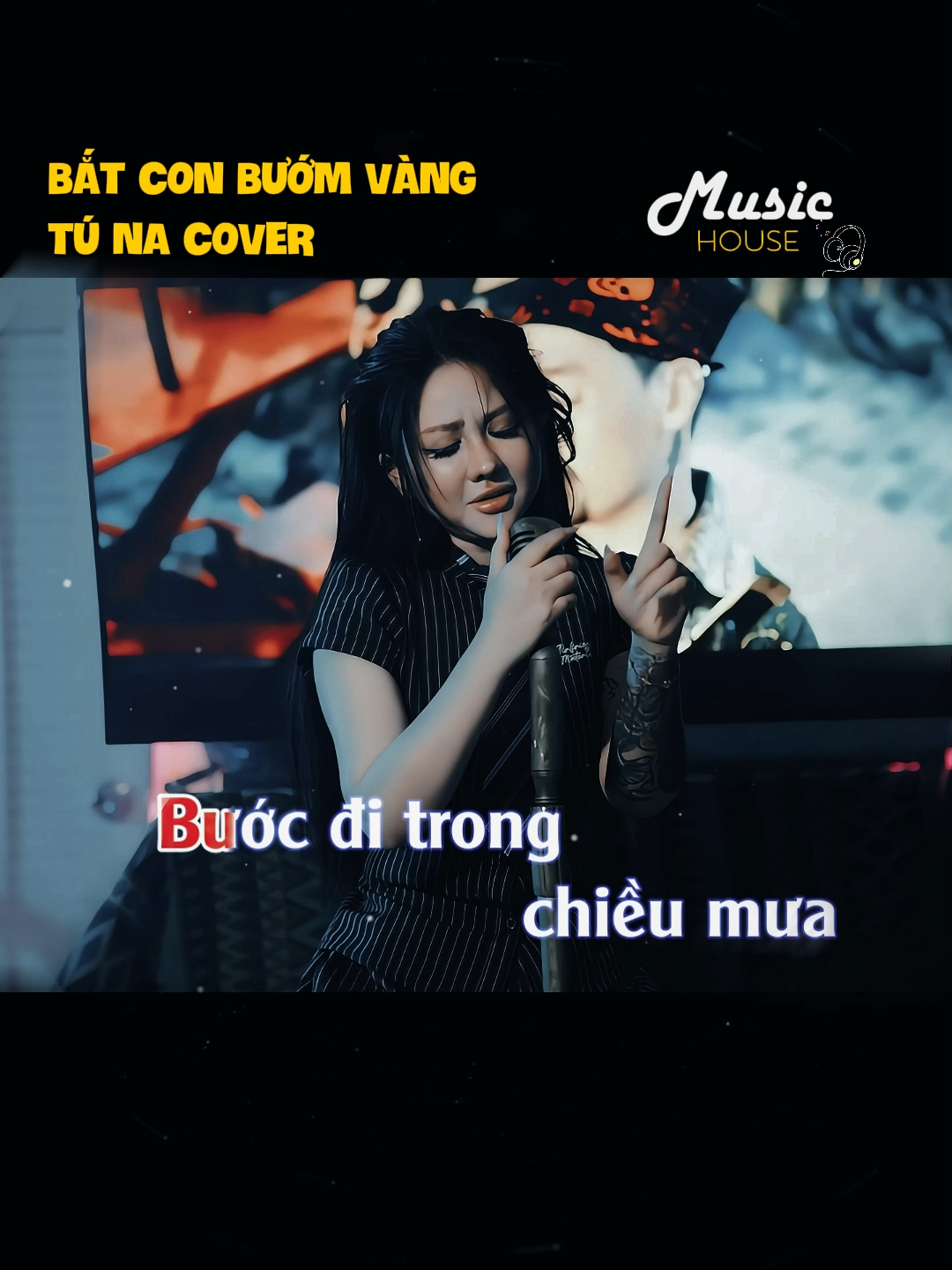 Bước đi trong chiều mưa #nhacvanghaynhat25 #namviet #batconbuomvang #tuna