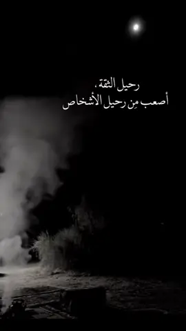 #في هذا اليوم 