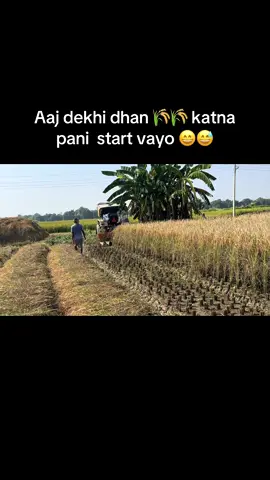 Dhan katni 🌾😁😅#CapCut #fyp #nawalparasi #ramgram17devgau #bhojpuriyalover😊❤️😽💔🥀🖤 