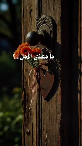 ما معنى الأمل...؟ : الأمل ضوء خافت في آخر النفق، لكنه كافٍ ليُبقيك على قيد الإصرار، يكفي أن تقول لنفسك: 