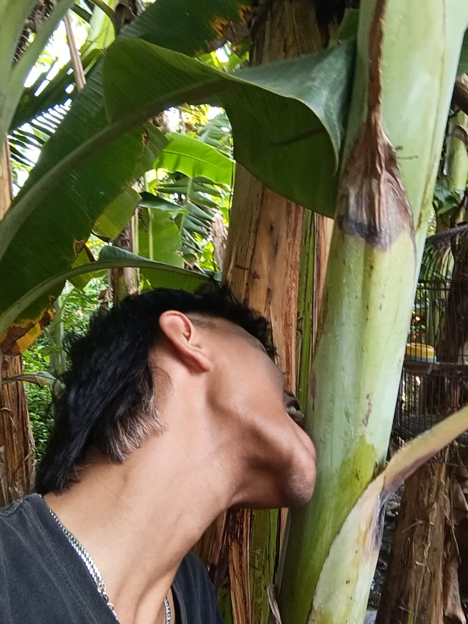 tak sogok#lucu #fypage #viral #fyp 