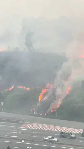 Kilat petang tadi area setia alam. Panah pokok sampai terbakar. Merebak habis tak sampai setengah jam.