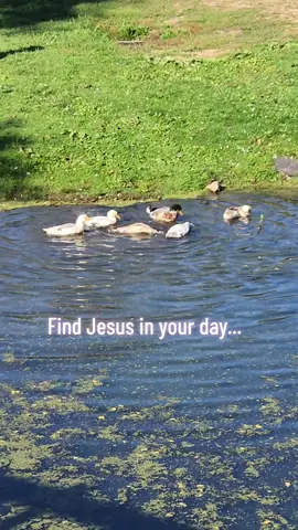 #jesuslovesyou #jesus 