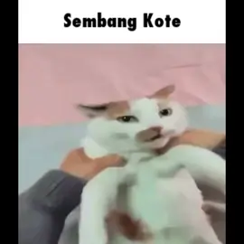 Pernah tak hang mandi pastu tutup mata pasal ayaq masuk mata dan bila hang bukak mata ada makhluk betui2 depan muka hang Dak? Aku pun sama tak pernah