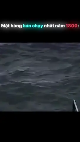 mặt hàng nào bán chạy nhất năm 1800?#haihuoc 