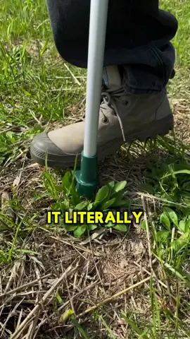 Weekend plans: cleaning up the yard 🌞 This weed puller makes it 10x easier — and kinda fun 😂 No bending, no back pain, just clean vibes 🌿 👉 Click the link to grab yours and thank me later 💚#walensee #DIYgarden #gardentools #backpain #weedpuller 