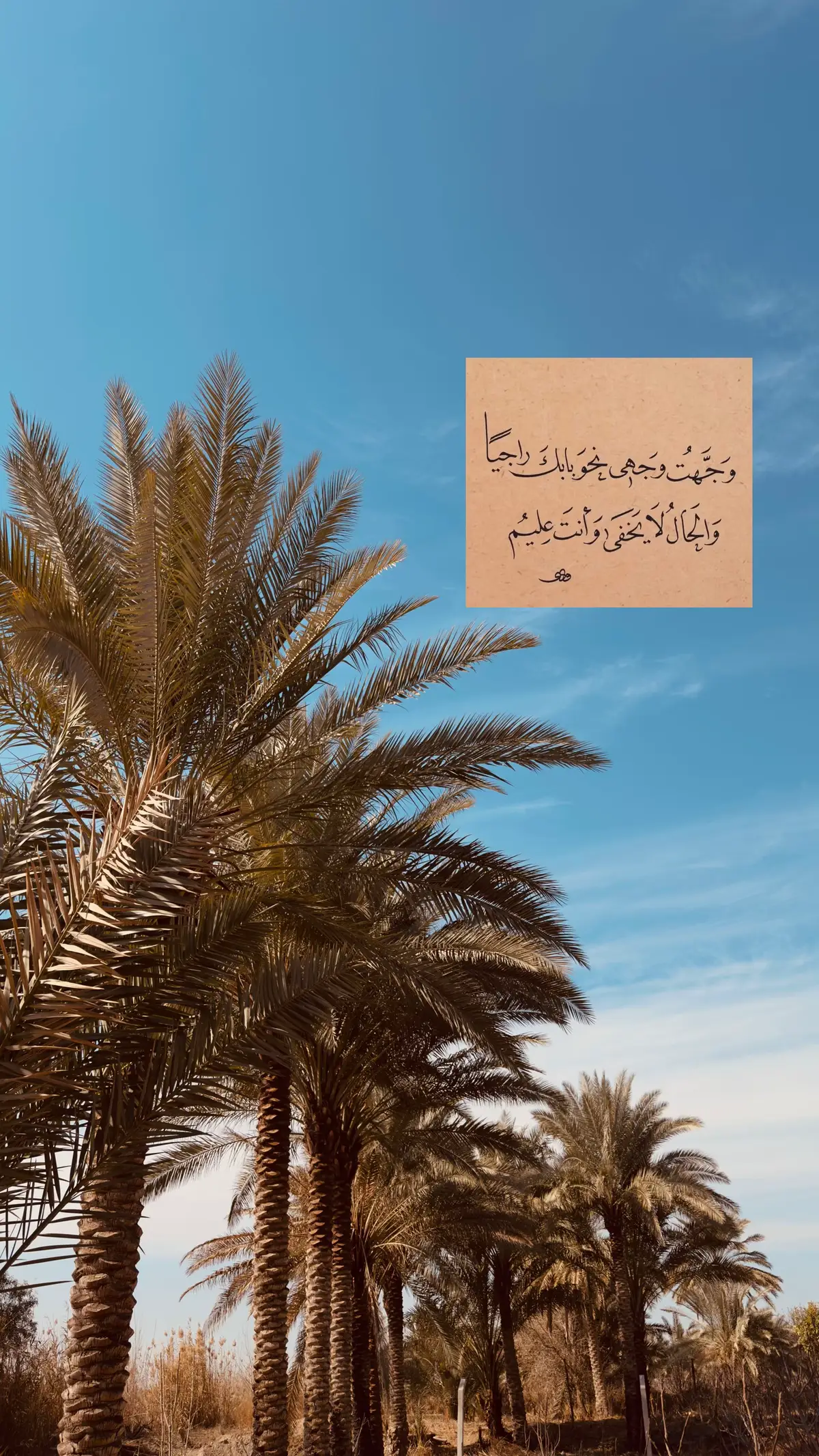 #امجد #explor #foryou #fyp #iraq 