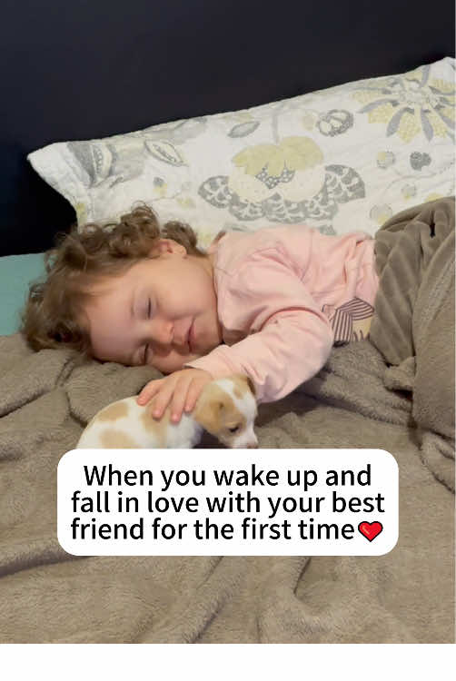 Puppy surprise for child 🥰🥰#baby #dog #puppy #pet #Love #friends #lovestory #lovestory #dogsoftiktok #foryou #usa🇺🇸 
