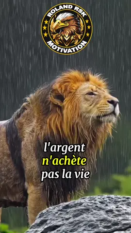 L’argent n’achète pas la vie mais la femme donne la vie…#motivation #conseil #citation #inspiration #vie 