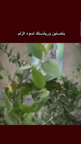 يا أبا الفضل …