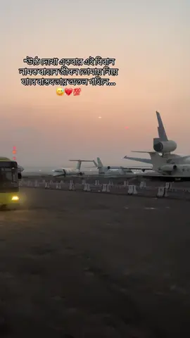 উঠে দেখো একবার এই বাহনে 🥹🇸🇦 #saudiarabia🇸🇦 #sadsong💔 #sadstatus #airways #foryoupage @TikTok 