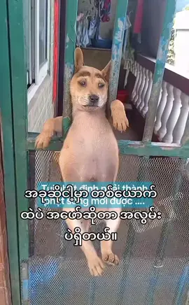 #ရင်တွင်ခံစာချက်လေတွေပါ 