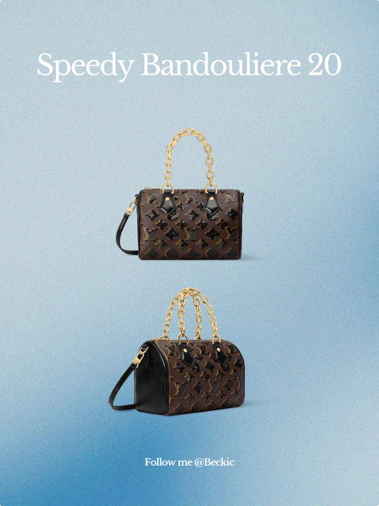 Lv speedy 🤩🤩🤩#louisvuitton #speedy #christmasgiftideas #fyp #handbag 