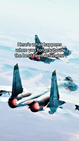 F-14 Tomcat Poster #fyp #gaming #warthunder #aviation #decor 
