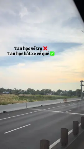 về gom lúa #fyp #tsv #uth 