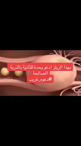 الله يرزق الجميع الذرية الصالحة#دكتورة_حنين_بكي_الباوي #حمل #ساحة_بيروت #نسائية_وتوليد 