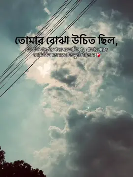 তোমার বোঝা উচিত ছিল, এত এত মানুষের পছন্দের তালিকায় থাকার পরেও আমি কেন তোমার প্রতি দুর্বল ছিলাম!  #foryoupage #tiktokbd  #viral #tiktok #support 