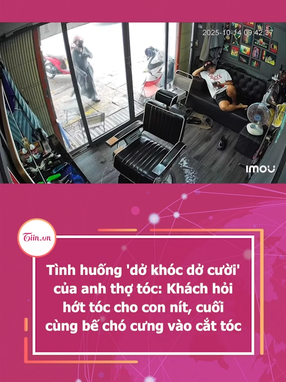 Tình huống 'dở khóc dở cười' của anh thợ tóc: Khách hỏi hớt tóc cho con nít, cuối cùng bế chó cưng vào cắt tóc #tiinnews