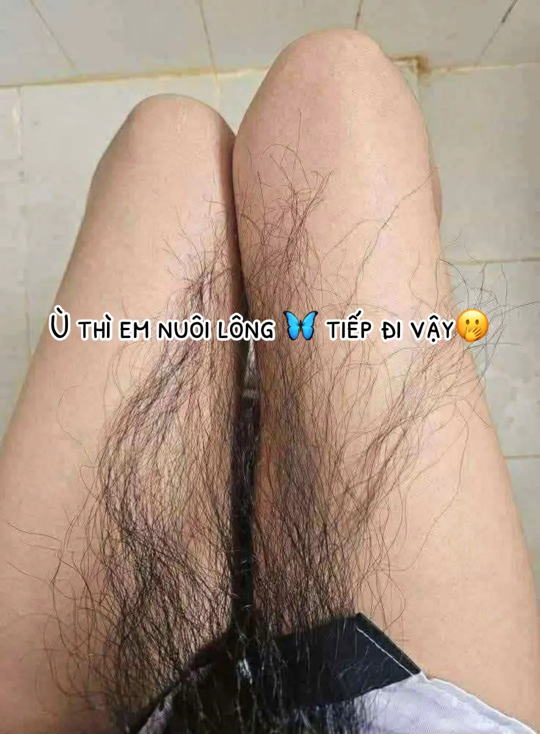 Em nuôi mãi mới được như này 👉 Chị lại bảo em triệt đi làm sao😁