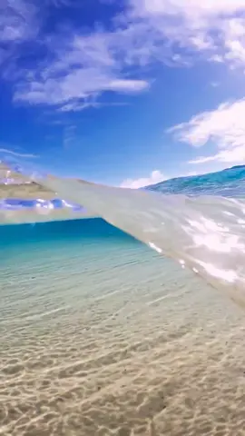 Salt Water Therapy 🩵  #ocean #goproanz #gopro #relaxing #australia