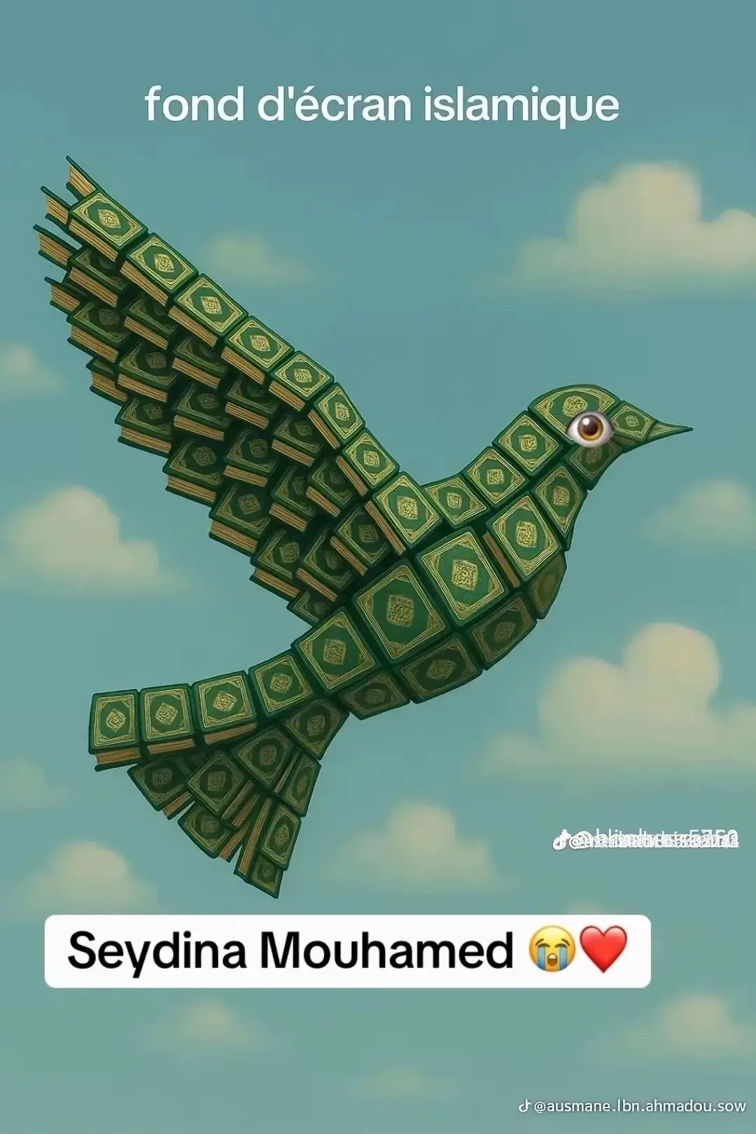 #قران #اكسبلور #سودانيز_تيك_توك_مشاهير_السودان🇸🇩 #دويتو #الشعب_الصيني_ماله_حل😂😂 