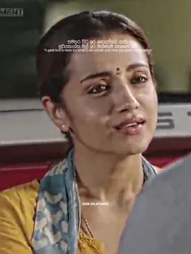 සමහර විට ඉර නොදන්නව ඇති සූරියකාන්ත මල් ඉර මත්තෙම නැහෙන බව #edit #srilanka #capcut #aftereffect 
