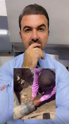 لا تزرعون هاي الشجرة بشرفكم