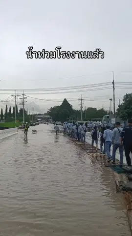 #เทรนด์วันนี้ ทนเอาเด้อจะหมดหน้าฝนแล้ว#ผู้ประสบภัยจากน้ําท่วมปีนี้หนักมาก😔😔 #ซอยสุพรรณสะพานสี่ #ฟีดดดシ 