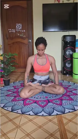 Balance your life...one pose at a time🧘‍♀️🙏 Tolasana(scale pose) #mauritius🇲🇺 #yoga #yogagirl #wellness 